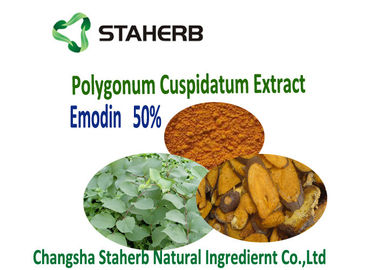 China Polygonum Cuspidatum Root Extract Phytogenic Feed Additives Veterinary supplier