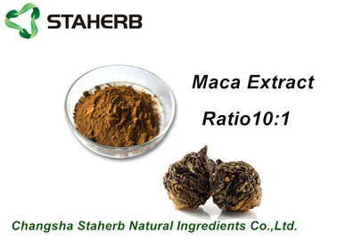 China Medical Herbal Extract Ratios Maca Root Extract Powder 4:1 For Male Health Care Product supplier