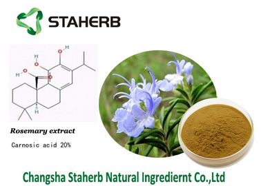 China Carnosic acid,Rosemary extract,Anti-inflammation,Pure natural plant extracts supplier