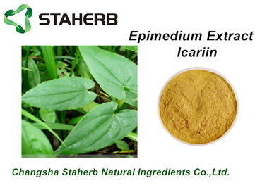 China Plant Epimedium Extract Icariin10%-98% Male Enhancement Powder By HPLC supplier