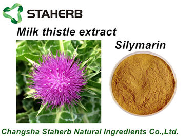 China Pure Natural Plant Extracts Milk Thistle Extract Silymarin Powder For Liver-Protect supplier