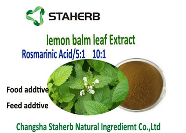 China Lemon Balm Leaf All Natural Extracts supplier