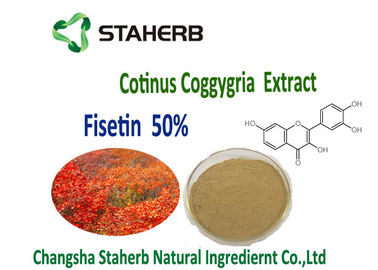 China Anti-inflammatory and antiproliferative Smoke Tree Organic Plant Extracts 50% Fisetin Powder Cotinus Coggygria Extract supplier