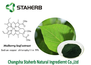 China Chlorophyllin Antibacterial plant extracts Mulberry leaf extract sodium copper chlorophyllin supplier