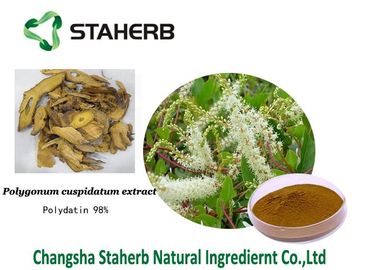 China Polydatin pure herbal extracts Polygonum cuspidatum extract White crystalline fine powder supplier