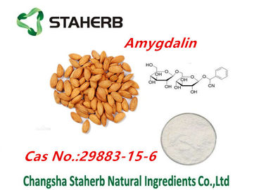 China Pure Natural Plant Extracts Herbal Bitter Apricot Seed extract Amydalin powder supplier