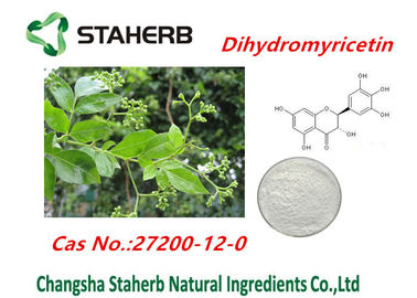 China Ampelopsis grossedentata vine tea extract 98% Dinhydromyricetin powder supplier
