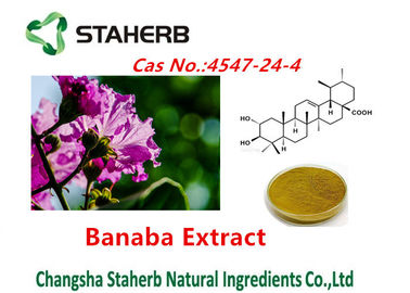 China Corsolic Acid Banaba Extracts Pure Natural Plant Extracts Cas No.4547-24-4 supplier