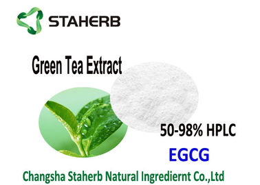 China Organic Green Tea Extract EGCG 70-98% , Antioxidant powder Supplement Catechins supplier