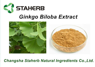 China Antibacterial Pure Natural Plant Extracts / Ginkgo Biloba Extract CAS No. 90045-36-6 supplier