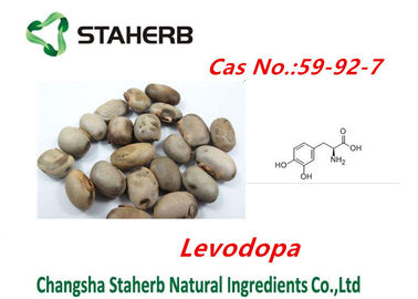 China Concentrated plant Mucuna pruriens extract Levodopa powder cas no.59-92-7 supplier