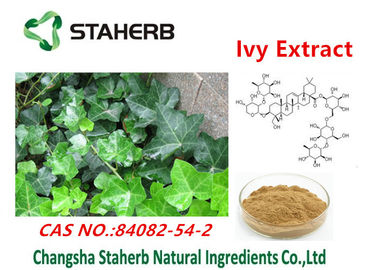 China Ivy extract Antibacterial Plant Extracts Hederacoside c powder cas no.84082-54-2 supplier