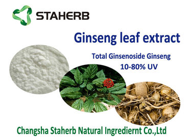 China 20% 80% ginsenoside Antioxidant Dietary Supplement Material , Organic Ginseng Leaf Extract supplier