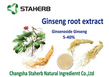 China Organic American Ginseng root extract light yellow powder for food field supplier