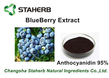 China Anti-oxidant Skin Care Pure Blueberry Extract Anthocyanidin 5% - 95% For Beverage Product supplier