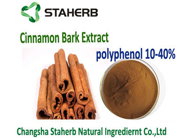 China 10 - 30%  Cinnamon Polyphenols Brown Yellow Powder Health Care Grade supplier