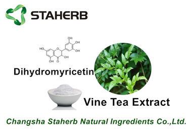 China Vine Tea Pure Natural Plant Extracts Dihydromyricetin 98% Healthy Product supplier