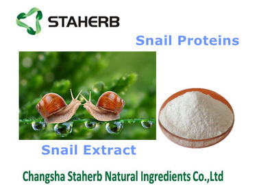 China 100% Snail Extract Natural Cosmetic Ingredients Light Yellow Fine Powder supplier
