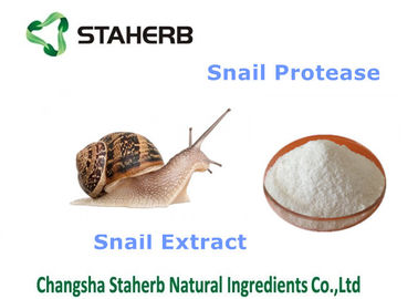 China Snail Extract Natural Cosmetics Raw Materials , Organic Cosmetic Ingredients supplier
