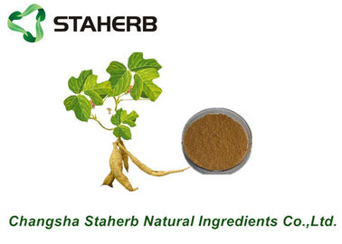 China Puerariae Root Pure Natural Plant Extracts , Beverage Natural Herbal Extracts supplier