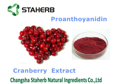 China Cranberry Extract Organic / Natural Antioxidant Supplement Violet Fine Powder supplier