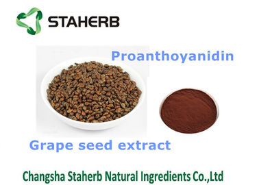 China Grape Seed Extract Antioxidant Dietary Supplement Fit Health Care Products supplier