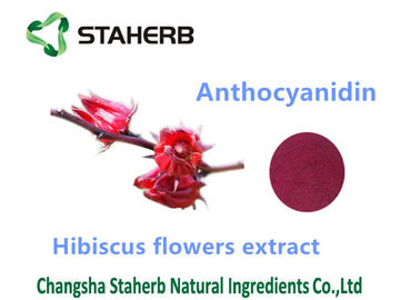 China Hibiscus Flower Extract Natural Cosmetic Ingredients Anthocyanin 10% Powder supplier