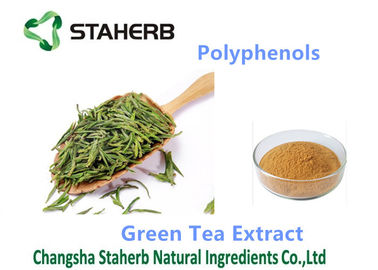 China Yellow Brown Powder Antioxidant Powder Supplement Polyphenols 98% Cas 84650-60-2 supplier