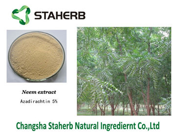 China Azadirachtin Concentrated Plant Extract , Neem Green Plant Extract Powder supplier