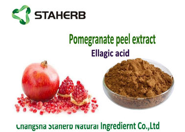 China Ellagic Acid Antioxidant Dietary Supplement , Natural Antioxidant Supplements supplier