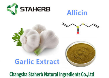 China Cas 539 86 6 Allicin Antibacterial Plant Extracts , Antimicrobial Plant Extracts supplier