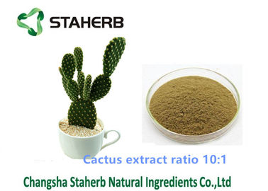 China Cactus Extract Weight Loss Powder Ratio 10/1 Solvent Extraction For Cosmetic Field supplier