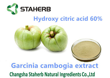 China Garcinia Cambogia Extract Weight Reduction Powder Hydroxycitric Acid 60% Powder supplier