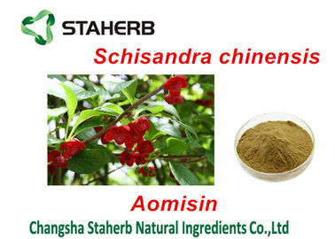 China Chinese Magnolia Vine Fruit Antibacterial Plant Extracts , Herbal Extract Powder supplier