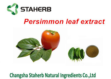 China Persimmon Leaf Extract Pure Natural Plant Extracts Folium Kaki Extract Powder supplier