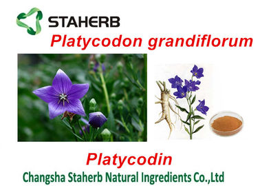 China Platycodon Grandiflorum Green Plants Extracts , Extracting Chemicals From Plants supplier