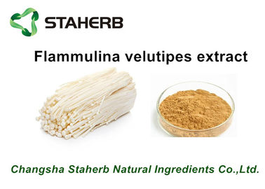 China Power Pure Natural Plant Extracts , Flammulina Velutipes Extract Polysaccharides 10%-50% supplier