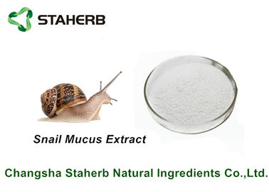 China Skin Whitening Natural Cosmetic Ingredients Animal Extract Snail Mucus Extract supplier