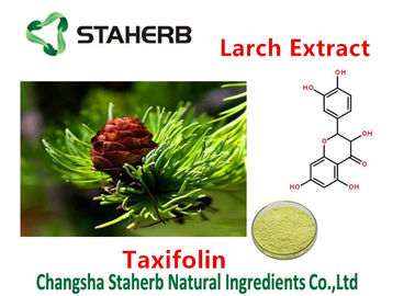 China Cas No 480-18-2 Larch Extract All Natural Extracts Taxifolin 80%-98% Purity supplier