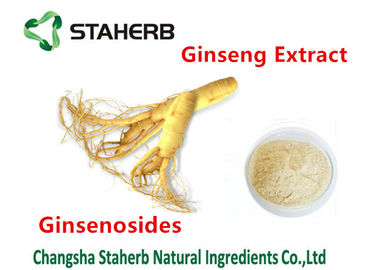 China Pure Natural Plant Ginseng Extract Ginsenosides 30% Ginseng Powder Food Grade supplier