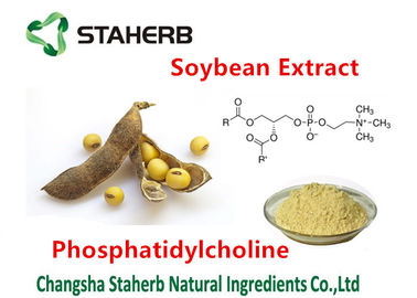 China Soybean Extract Pure Natural Plant Extracts Phosphatidylcholine 80% Health Care supplier
