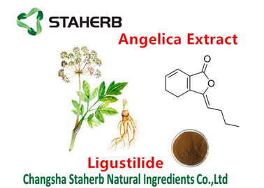 China Ligustilide 1% Angelica Extract Pure Herbal Extracts For Female Health Care supplier