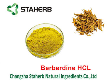 China Coptis Chinensis Extract Pure Natural Plant Extracts Berberine HCL 98% supplier