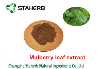 China Mulberry Leaf Pure Natural Plant Extracts 1 - DNJ Active Ingredients 12% Powder supplier