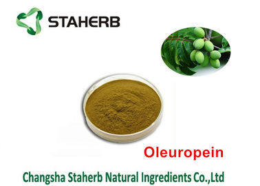 China Oleuropein 40% - 80% Natural Green Extracts , Extracting Chemicals From Plants supplier