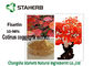 Smoke Tree Organic Plant Extracts 50-98 % Fisetin Powder Cotinus Coggygria Extract supplier