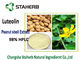 Peanut Skin Antibacterial Plant Extracts Luteolin Powder Aluteolin 98% HPLC supplier