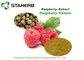 Weight Losing Raw Matreials Raspberry Extract Plant Extract Raspberry Ketone 99% supplier
