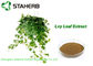 Organic Ivy Leaf Extract , Hedera Helix Extract 10% Hederacoside C Powder Brown Yellow supplier