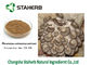 Natural Oyster Mushroom Extract , Pleurotus Ostreatus Extract Food Additive supplier